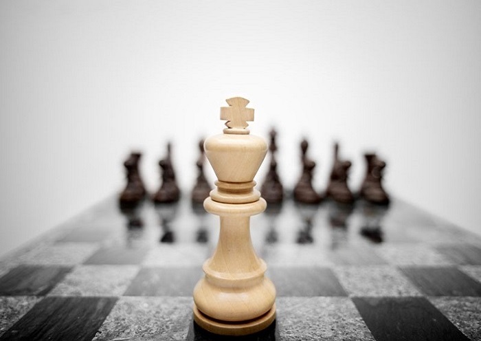 Can You Really Dominate the SERPs with Multiple Domains